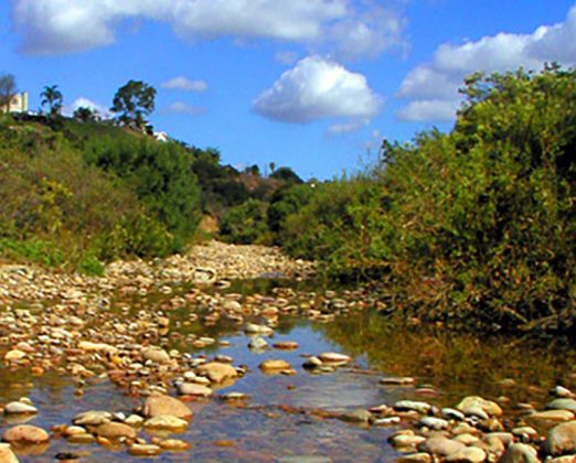 San Diego's Chollas Creek