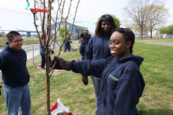Groundwork Bridgeport Green Team planting trees