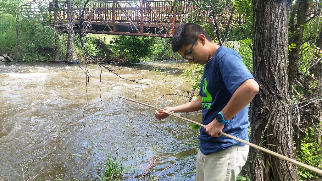 Revitalizing the Bear Creek Watershed