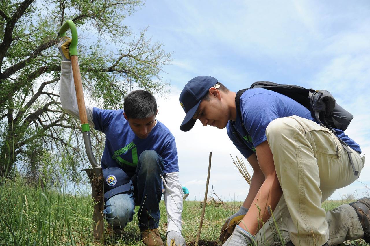 Partnering with Public Lands to Restore Habitat