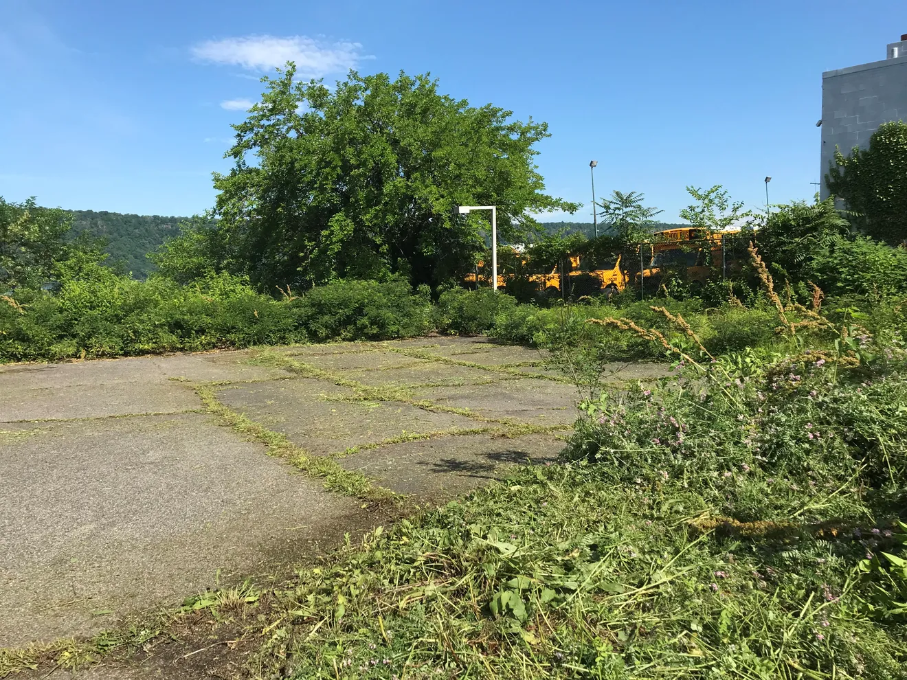 The Ludlow Park Waterfront Brownfield Community Plan