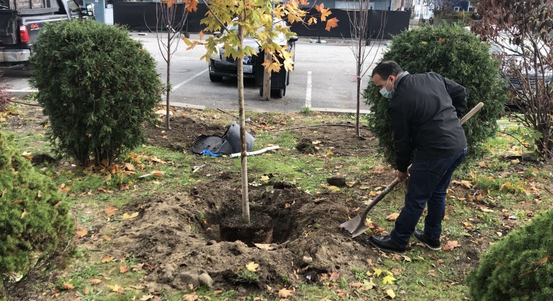 Tree Equity Planting in Central Falls and Pawtucket