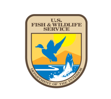US FISH & WILDLIFE SERVICE
