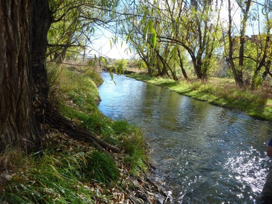 Segment of the lower Bear Creek in Sheridan, Colorado