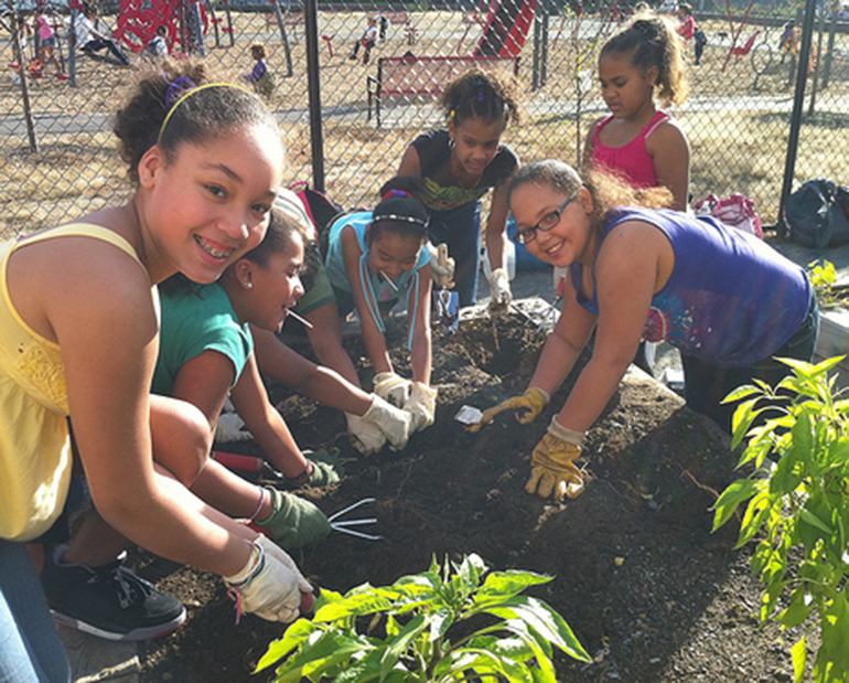 Groundwork Lawrence Tarbox Elementary School Garden - Groundwork USA