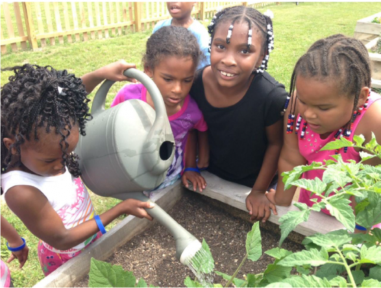 Young gardeners watering community garden plot at Milwaukee's Neighborhood House Garden