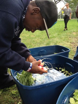 A participant in Groundwork Milwaukee's Young Farmers program washing harvested produce