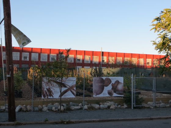 Groundwork Providence's Hope Tree Nursery