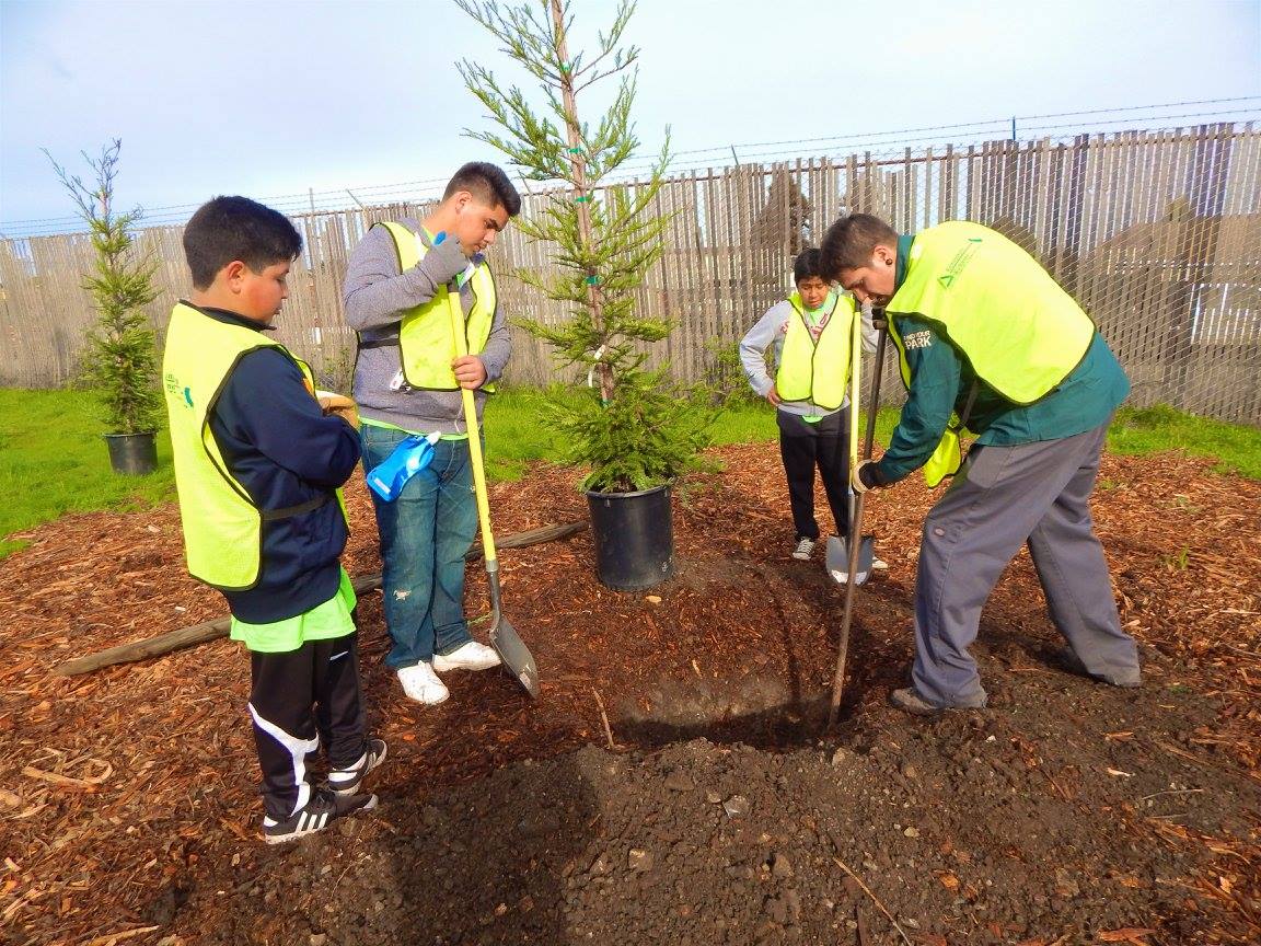 10,000 Trees 2.0 Project