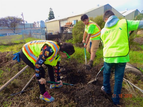 GW Richmond Green Team members plant trees along the Richmond Greenway