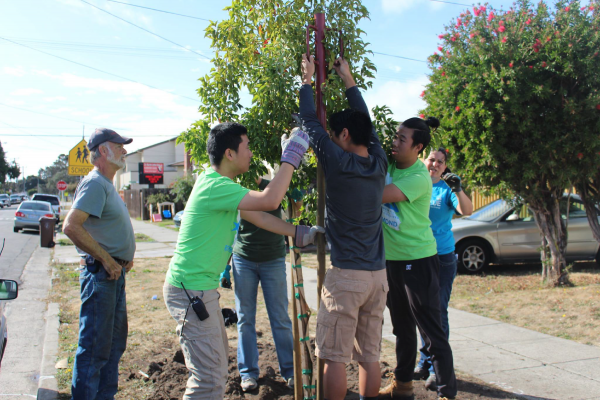 Groundwork Richmond Green Team members plant neighborhood trees. 