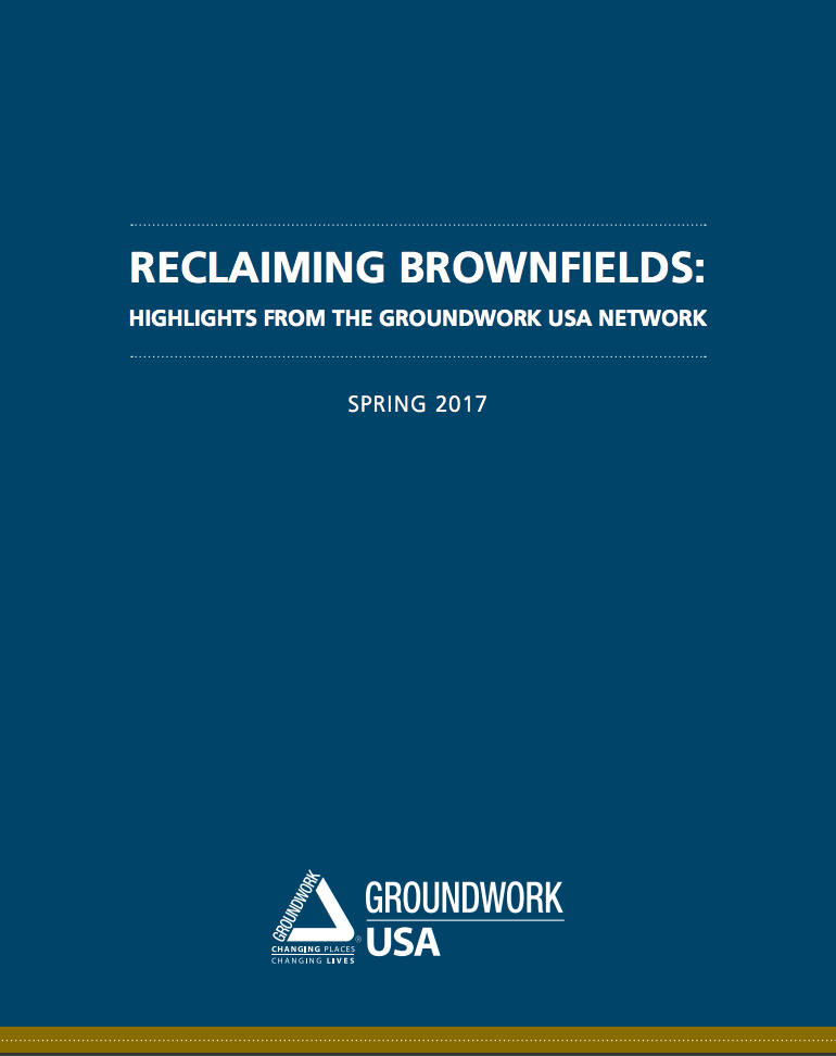 Reclaiming Brownfields cover