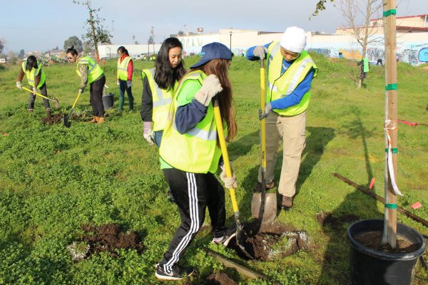 Groundwork Richmond Green Team youth plant trees along the Richmond Greenway.