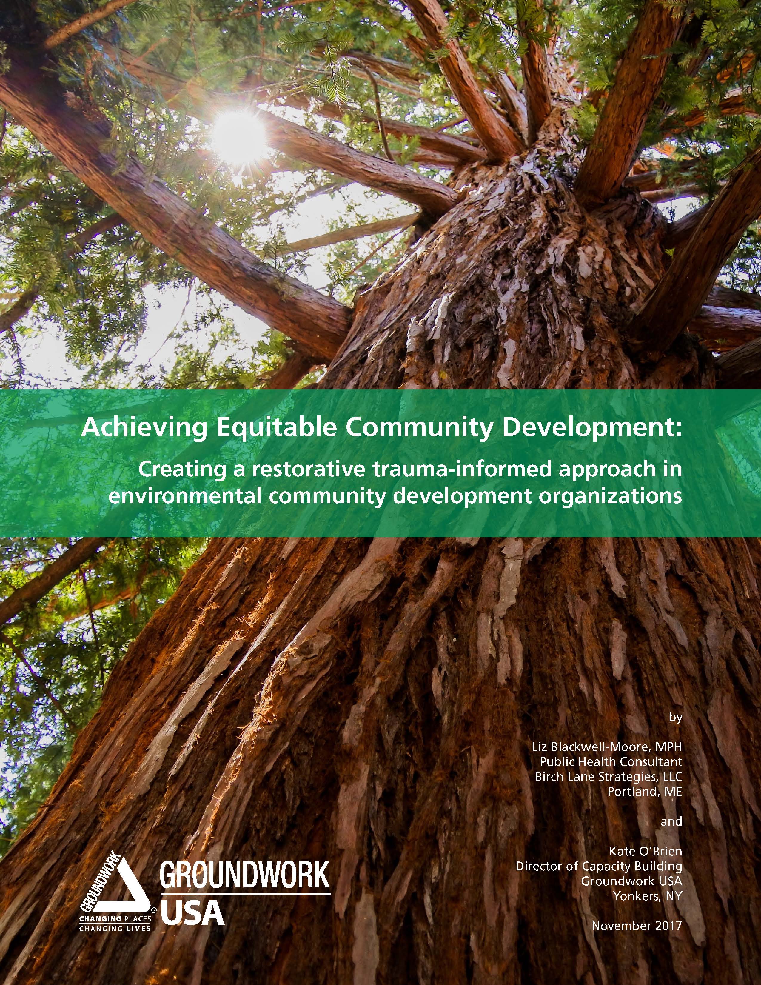 GWUSA white paper--Achieving Equitable Community Development cover