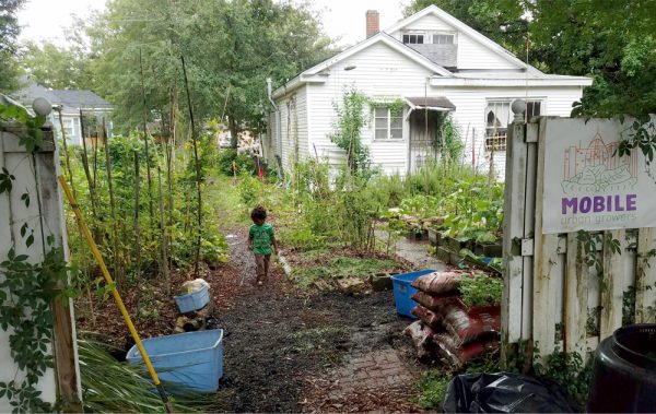 Mobile Urban Growers garden in yard of vacant property. Photo: Larissa Graham