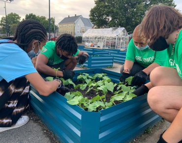 Building Community, One Urban Garden At a Time