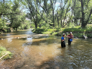 From Creek to Community: Denver's Commitment to Protect Water and Health