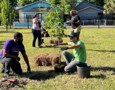 Tree Care 101: Tips For Protecting Trees In Your Community