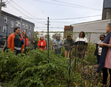 Many Roots, One Movement